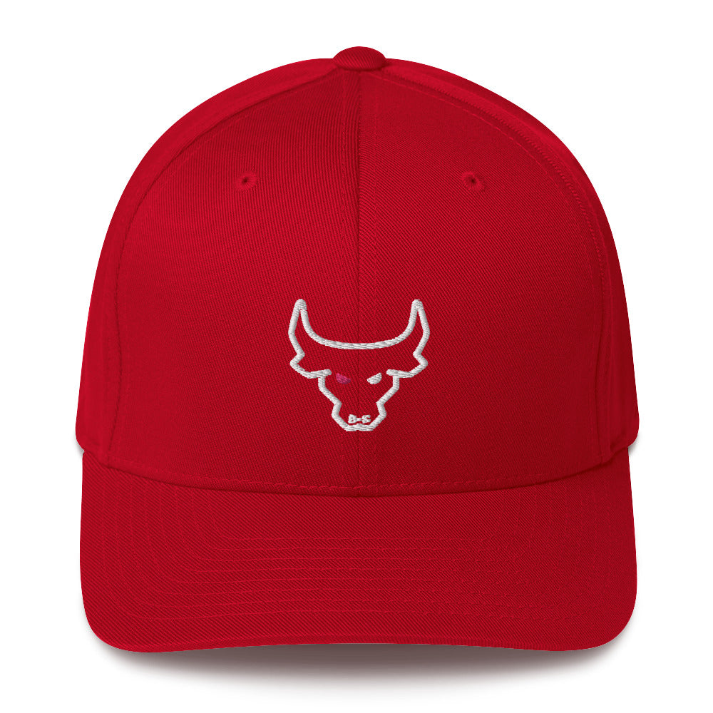 Stretch Fit Twill Cap S/M or L/XL with Logo